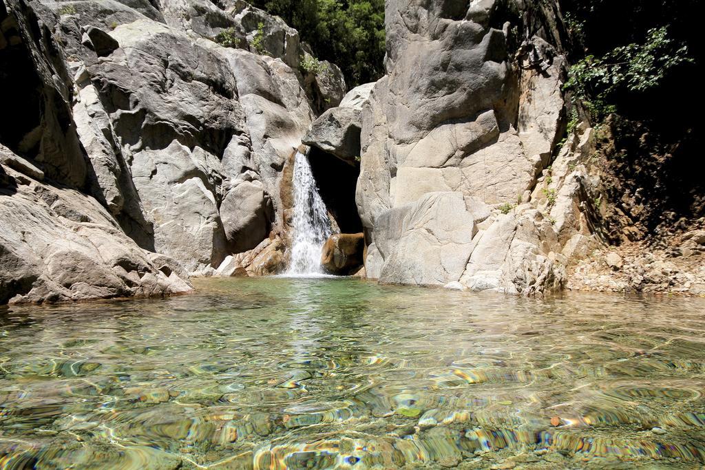 Gite Du Chalet Pietri Olivese المظهر الخارجي الصورة