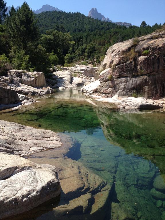 Gite Du Chalet Pietri Olivese المظهر الخارجي الصورة