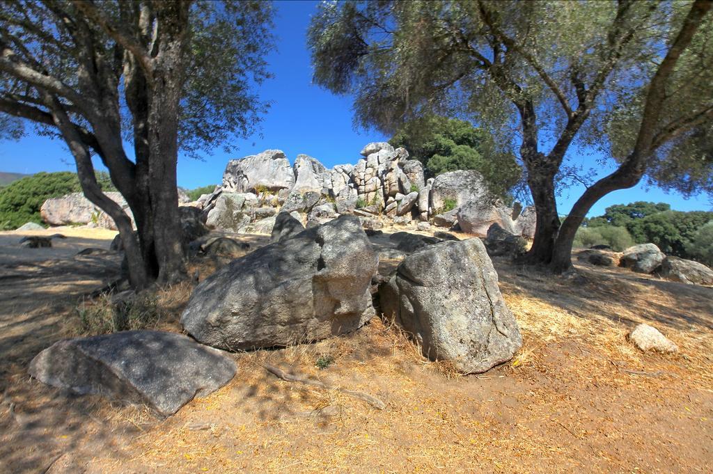 Gite Du Chalet Pietri Olivese المظهر الخارجي الصورة