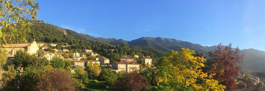 Gite Du Chalet Pietri Olivese المظهر الخارجي الصورة