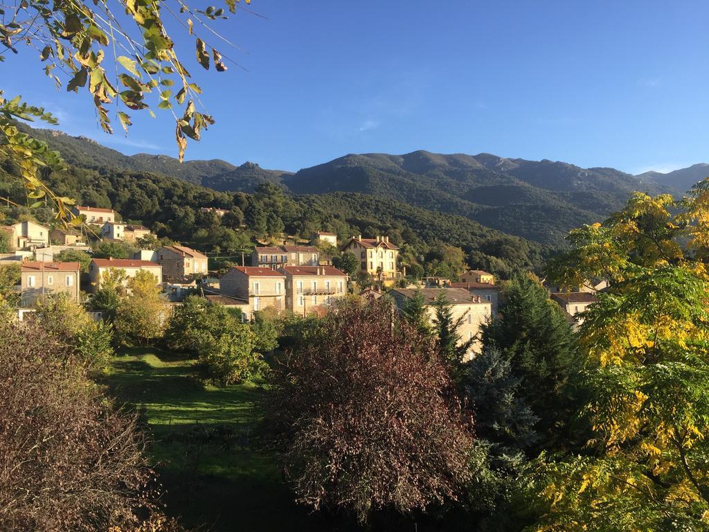 Gite Du Chalet Pietri Olivese المظهر الخارجي الصورة