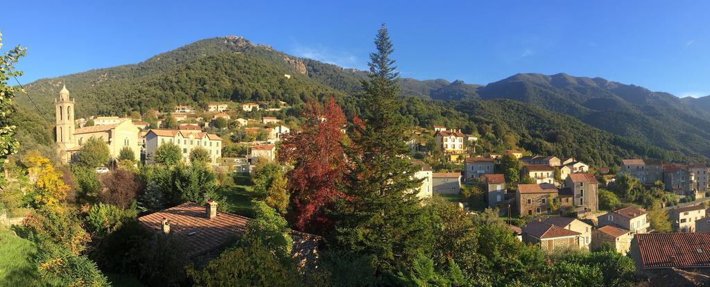 Gite Du Chalet Pietri Olivese المظهر الخارجي الصورة