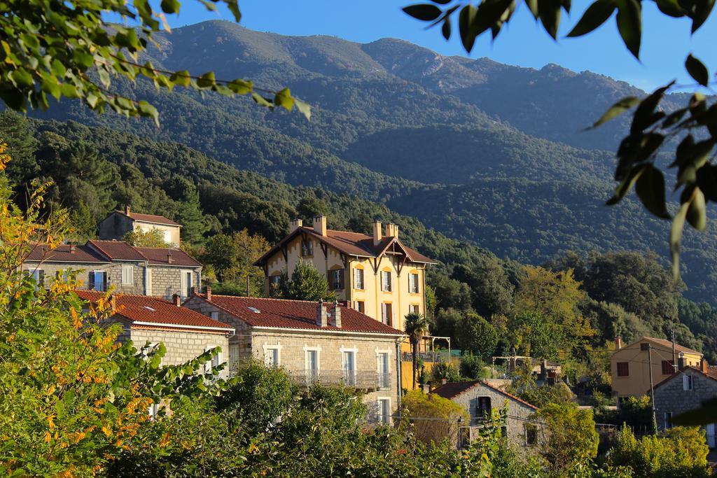 Gite Du Chalet Pietri Olivese المظهر الخارجي الصورة