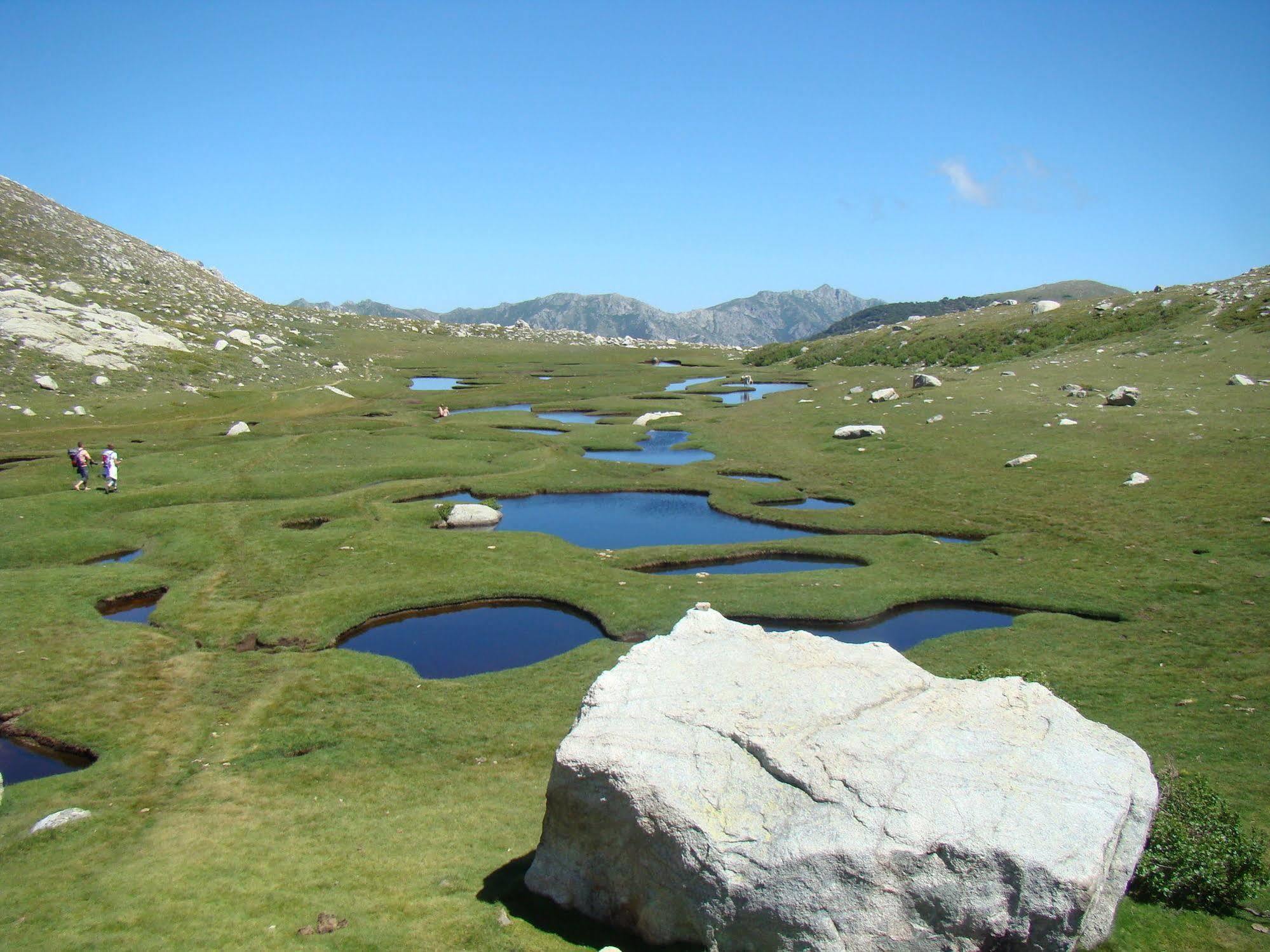 Gite Du Chalet Pietri Olivese المظهر الخارجي الصورة